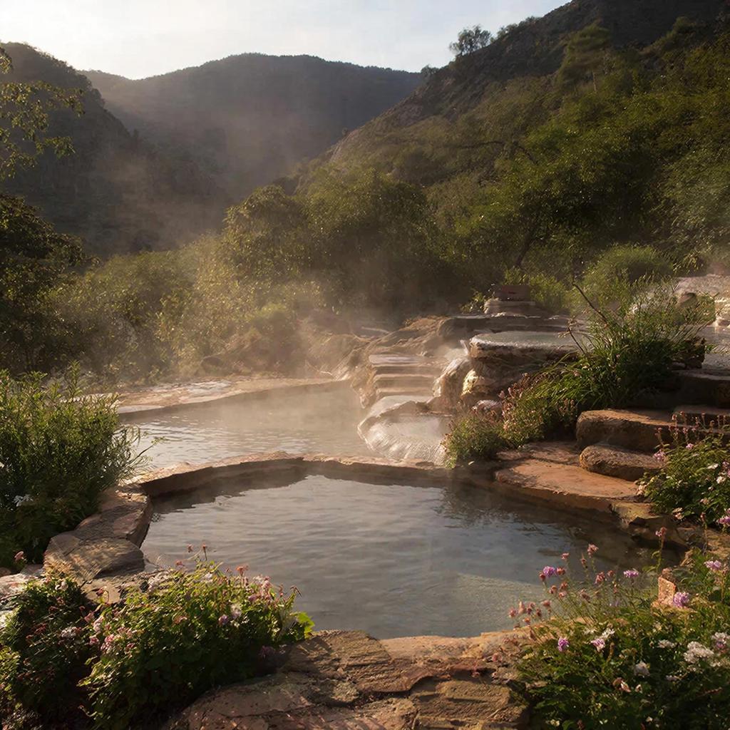 Забота о нервной системе и укрепление устойчивости